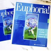 Euphoria Learning Strategies box